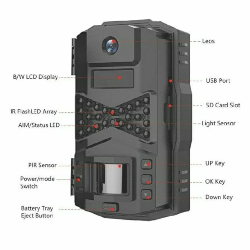Trail Camera